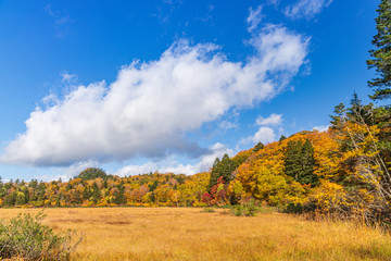 Towada Hachimantai National Park in early autumn