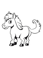 Pony Pferd spass baby po Mädchen jungs süss lieb springen spielen freuen frech lächeln 1c