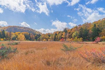 Fototapeta premium Towada Hachimantai National Park in early autumn