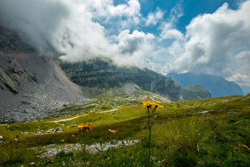 Mountain scenery in Slovenia - Mangart