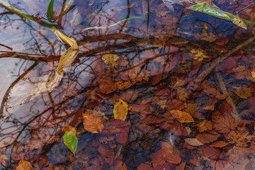 Towada Hachimantai National Park in early autumn