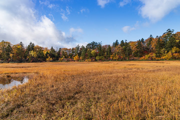 Towada Hachimantai National Park in early autumn