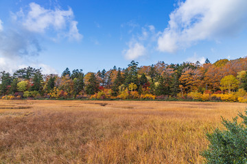 Fototapeta premium Towada Hachimantai National Park in early autumn
