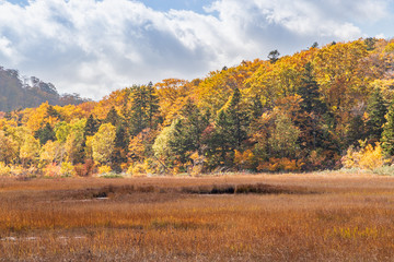 Obraz premium Towada Hachimantai National Park in early autumn
