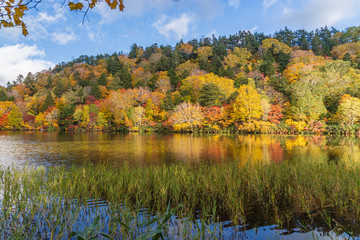 Towada Hachimantai National Park in early autumn