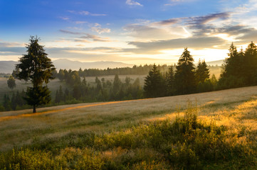 Fototapeta na wymiar Beautiful landscape mountain hill meadow sunrise morning village Romania 