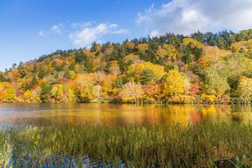 Towada Hachimantai National Park in early autumn