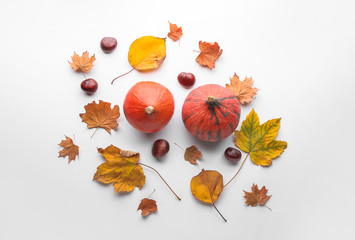 Composition with autumn leaves and pumpkins on white background