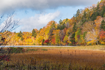 Fototapeta premium Towada Hachimantai National Park in early autumn