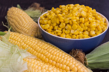 Boiled corn in a blue bowl. Raw Corn Cobs with Green Leaves