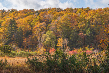 Towada Hachimantai National Park in early autumn