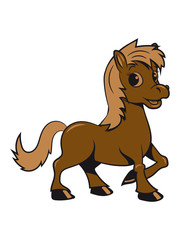 Pony Pferd spass baby Mädchen jungs süss lieb springen spielen freuen frech lächeln 3c