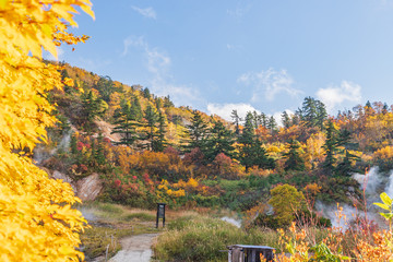 Obraz premium Towada Hachimantai National Park in early autumn