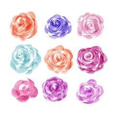 set of pink rose petals isolated on white background