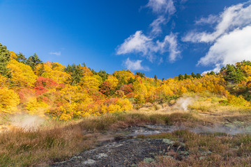 Obraz premium Towada Hachimantai National Park in early autumn