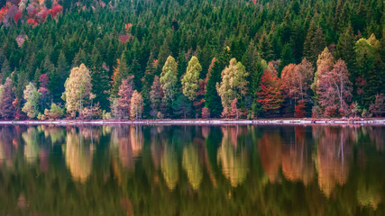 Obraz premium Beautiful landscape mountain lake volcanic natural reflection trees colors Romania 