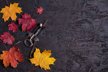Flat lay composition with wine corkscrew and autumn leaves on black background, copy space