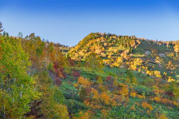 Towada Hachimantai National Park in early autumn