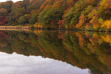 Towada Hachimantai National Park in early autumn