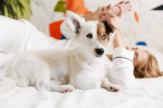 Image of girl holding cellphone while lying in bed with small dog