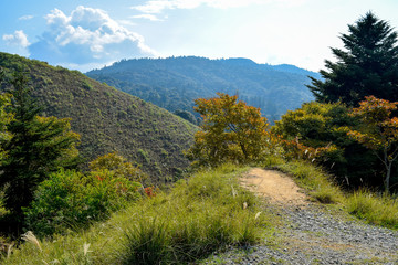 奈良県　若草山