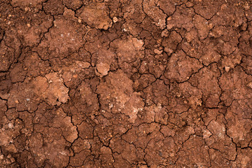 Texture of dried cracked clay. Macro background image of dried clay