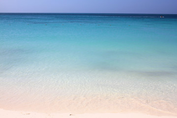Fototapeta premium Turquoise water of Caribbean beach on Aruba.