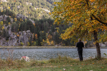 woman and dog observe under a tree with yellow and green leaves looking at the water of the mountain lake in autumn