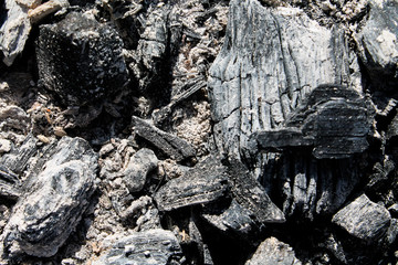 Background with black burnt wood. Charcoal texture backdrop. Bonfire covered with ashes and sawdust closeup