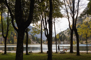 woman and dog walking in a mountain lake in autumn
