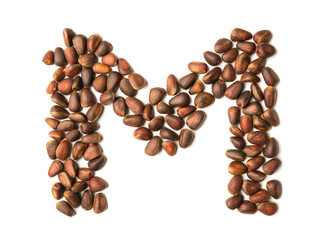 Isolated object: letter lined with ripe pine nuts