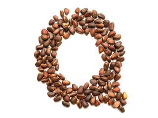 Isolated object: letter lined with ripe pine nuts