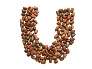Isolated object: letter lined with ripe pine nuts
