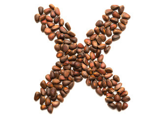 Isolated object: letter lined with ripe pine nuts