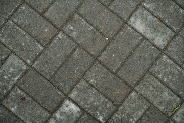 Texture of paving slabs overgrown with grass. Background image of a stratum stone