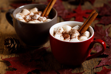Hot cocoa with marshmallow in a red ceramic cup