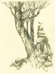 Big tree and bird, pencil drawing on texture paper.