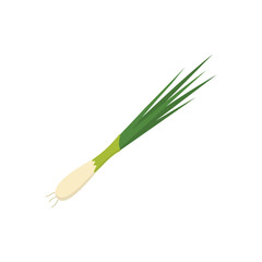 Whole onion ripe. Spring onions vegetable vector in cartoon style.