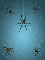 illustration of spiders
