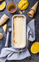 Close up bowl with vanilla ice cream covered with caramel sauce and fresh mango fruit on dark background. Selective focus. Summer dessert