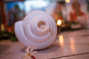 beautiful Shankh which used to produce sound during pray to god in hindu religion