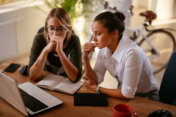 Colleagues working on project