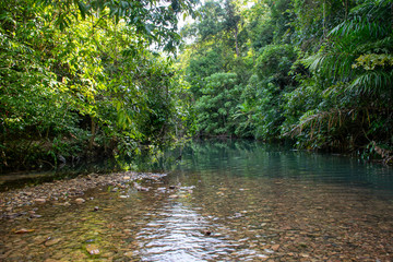 Jungle river