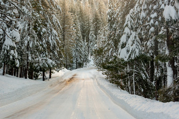 Frozen road highway 120 towards Yosemite