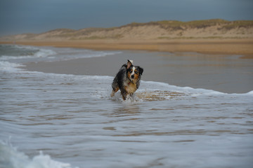 Australien Shepard beach