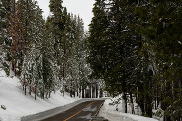 Fototapeta na wymiar Frozen road highway 120 towards Yosemite