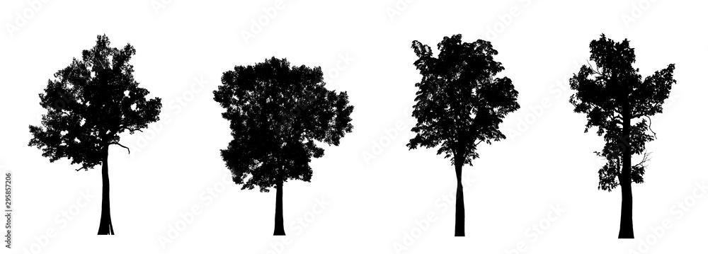 Poster isolated set of trees silhouette for brush collection on white backdrop