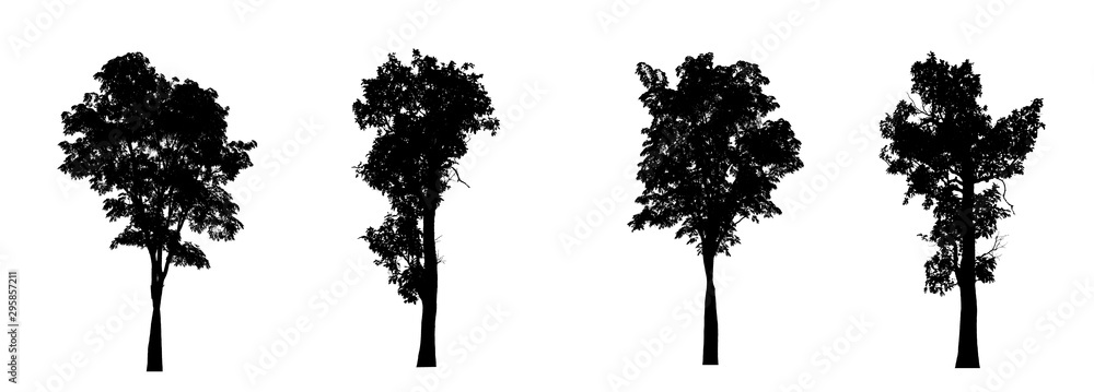 Poster isolated set of trees silhouette for brush collection on white backdrop