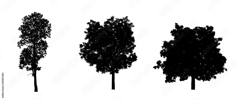 Poster isolated set of trees silhouette for brush collection on white backdrop