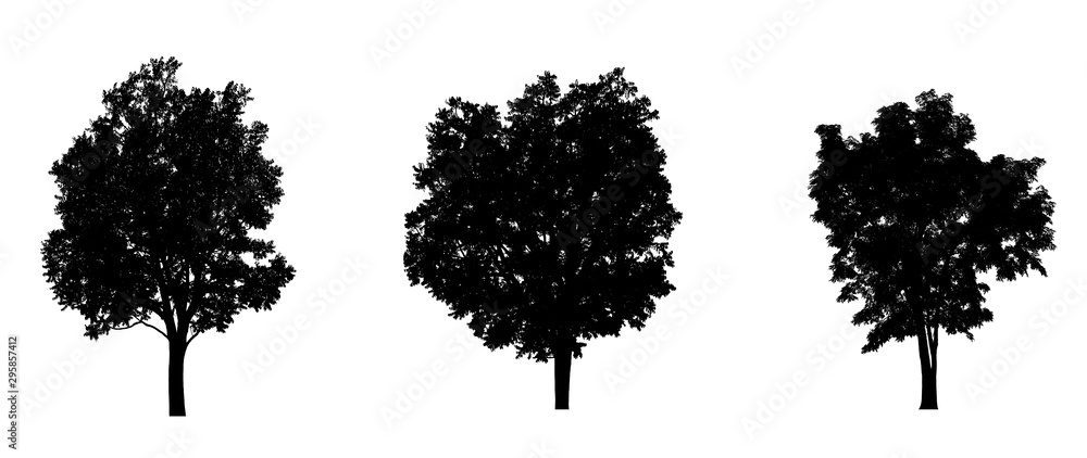 Poster isolated set of trees silhouette for brush collection on white backdrop